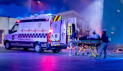 Emergency and Medical Security